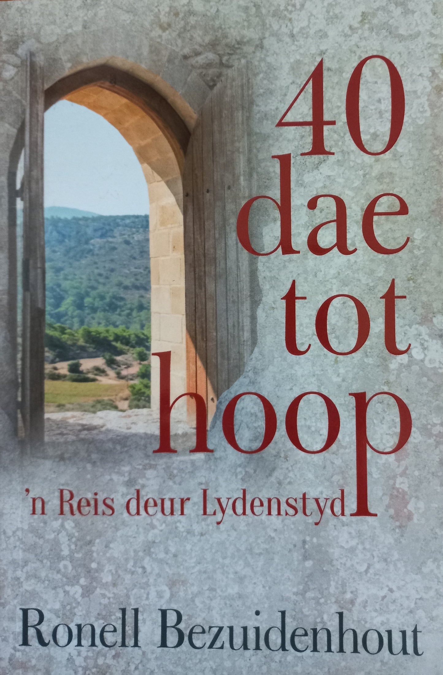 40 dae tot hoop: 'n Reis deur lydenstyd - Ronell Bezuidenhout