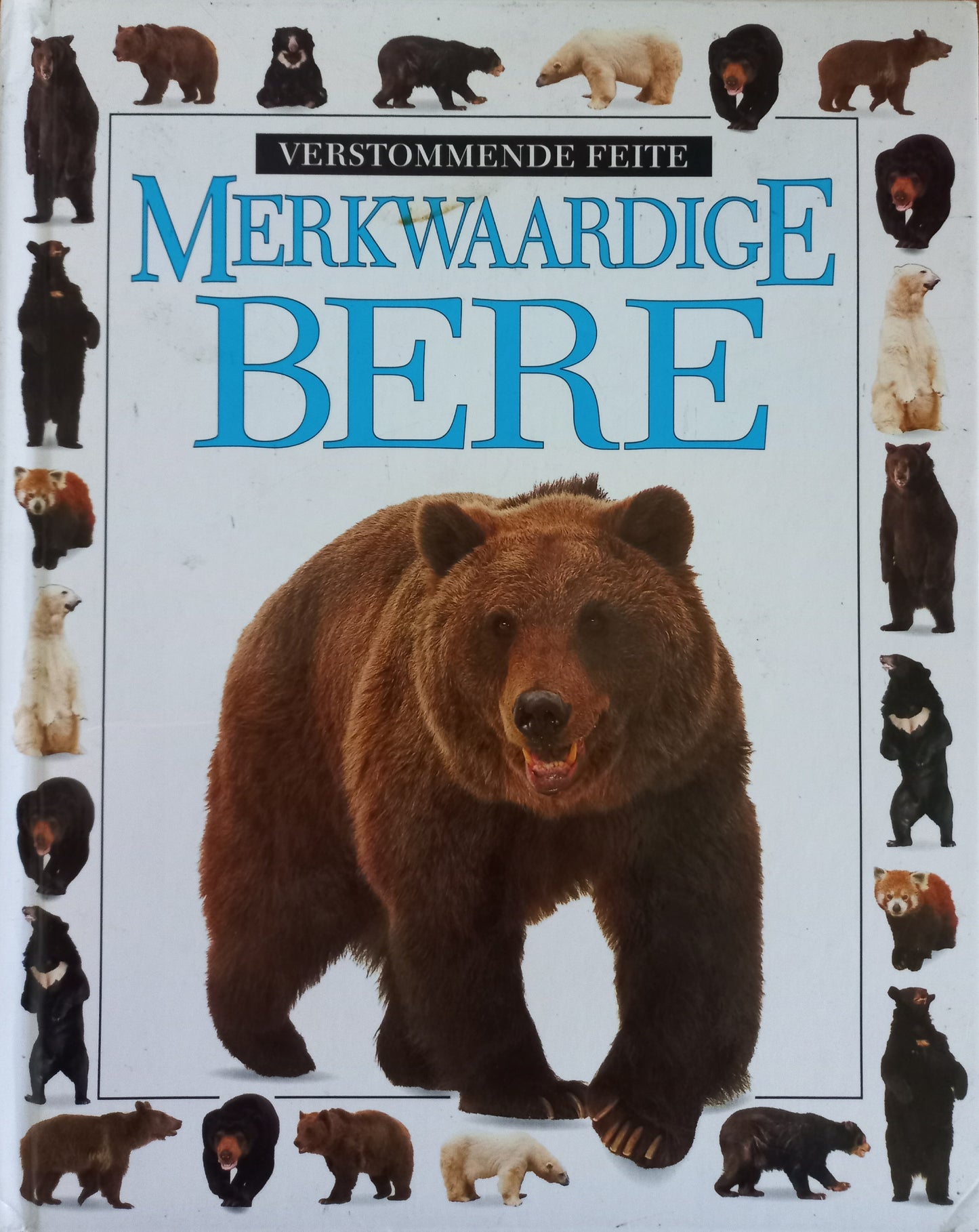 Verstommende feite: Merkwaardige Bere