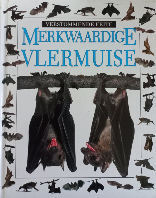 Verstommende feite: Merkwaardige vlermuise