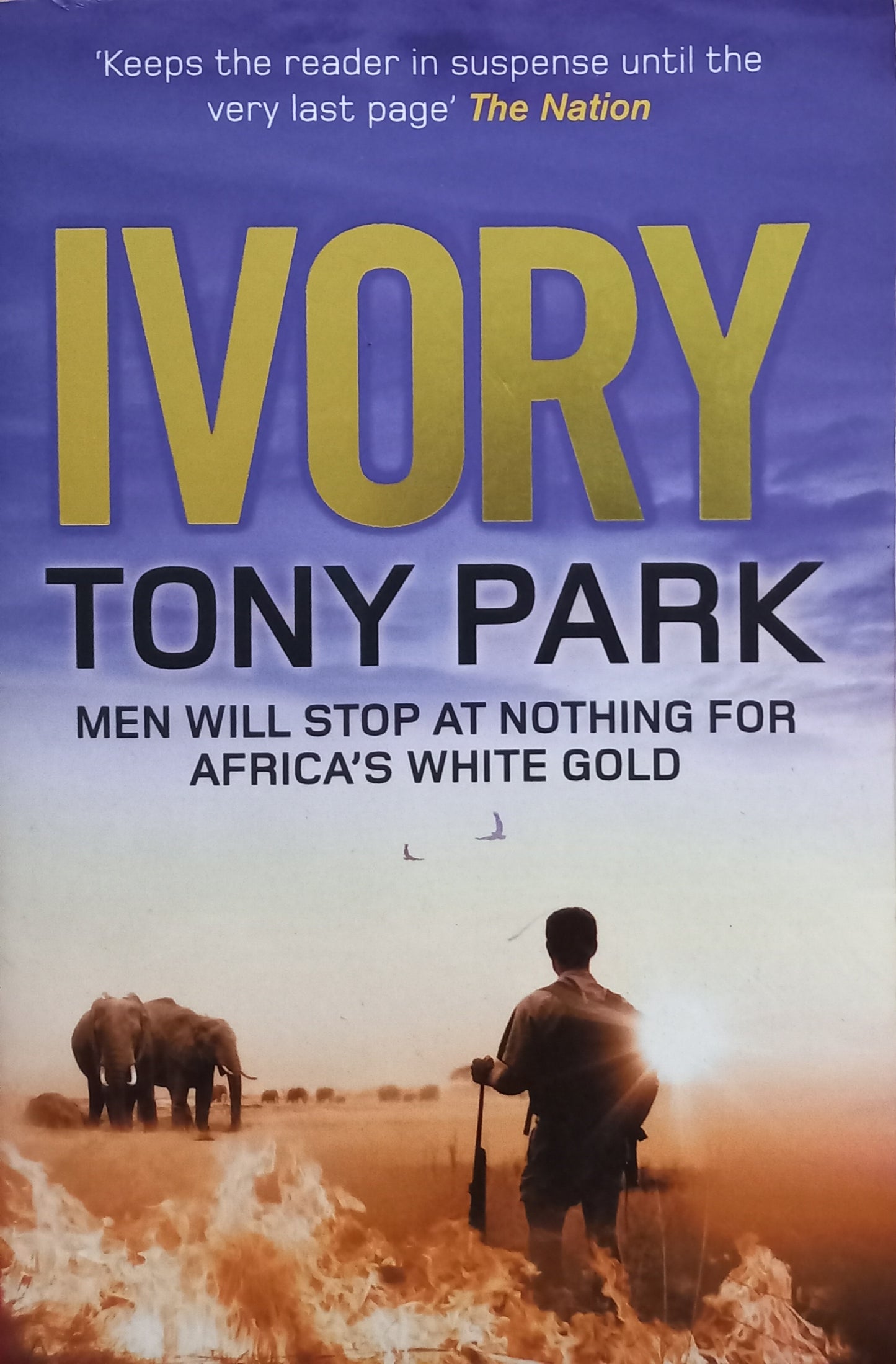 Ivory - Tony Park