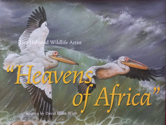 Heavens of Africa - Lisa Halstead & David Elliot Wien