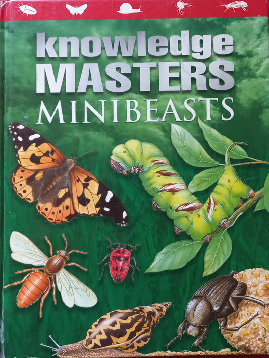 Knowledge Masters: Minibeasts