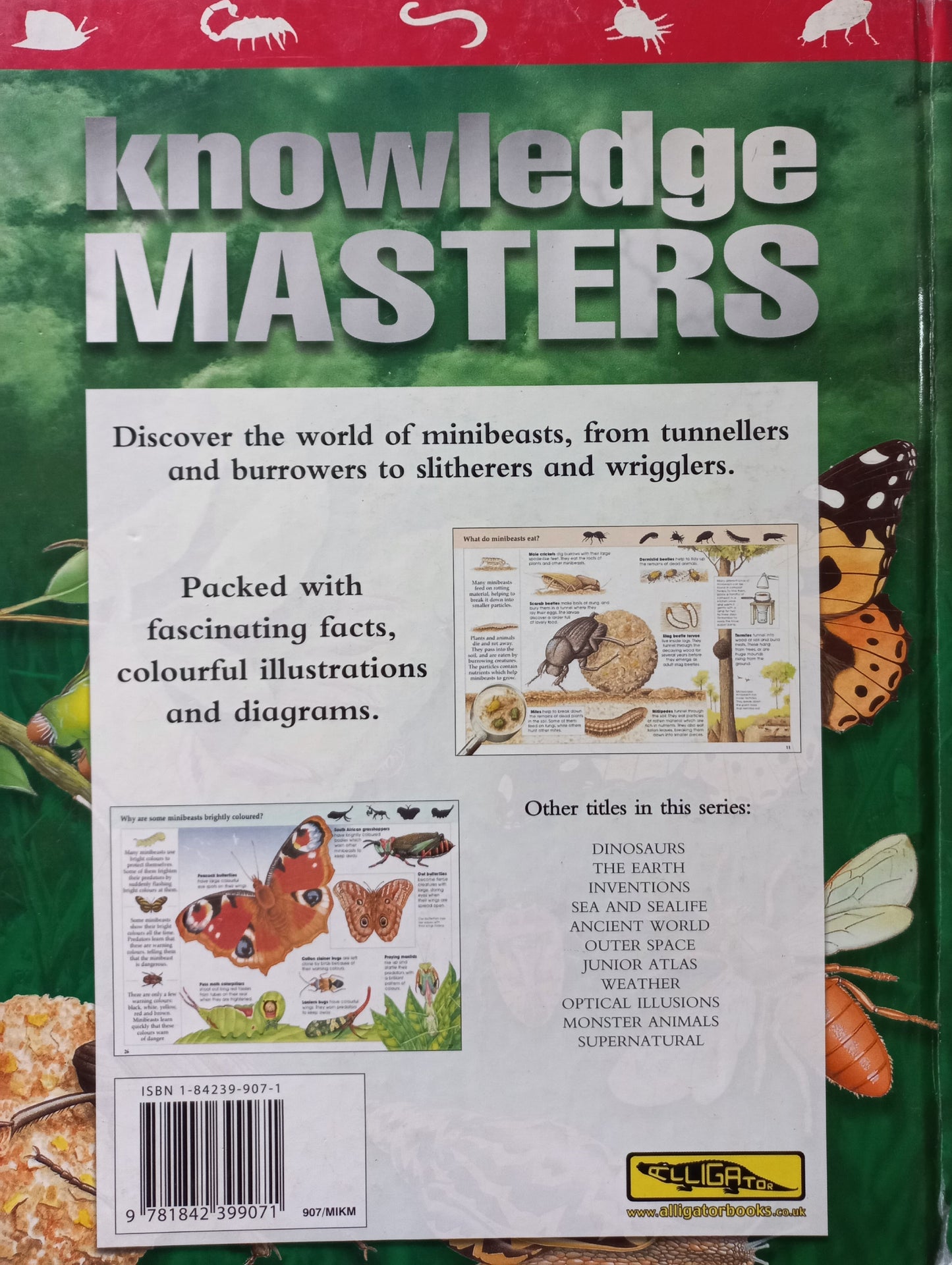 Knowledge Masters: Minibeasts