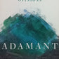 Adamant: Finding truth in a universe of opinions - Lisa Bevere