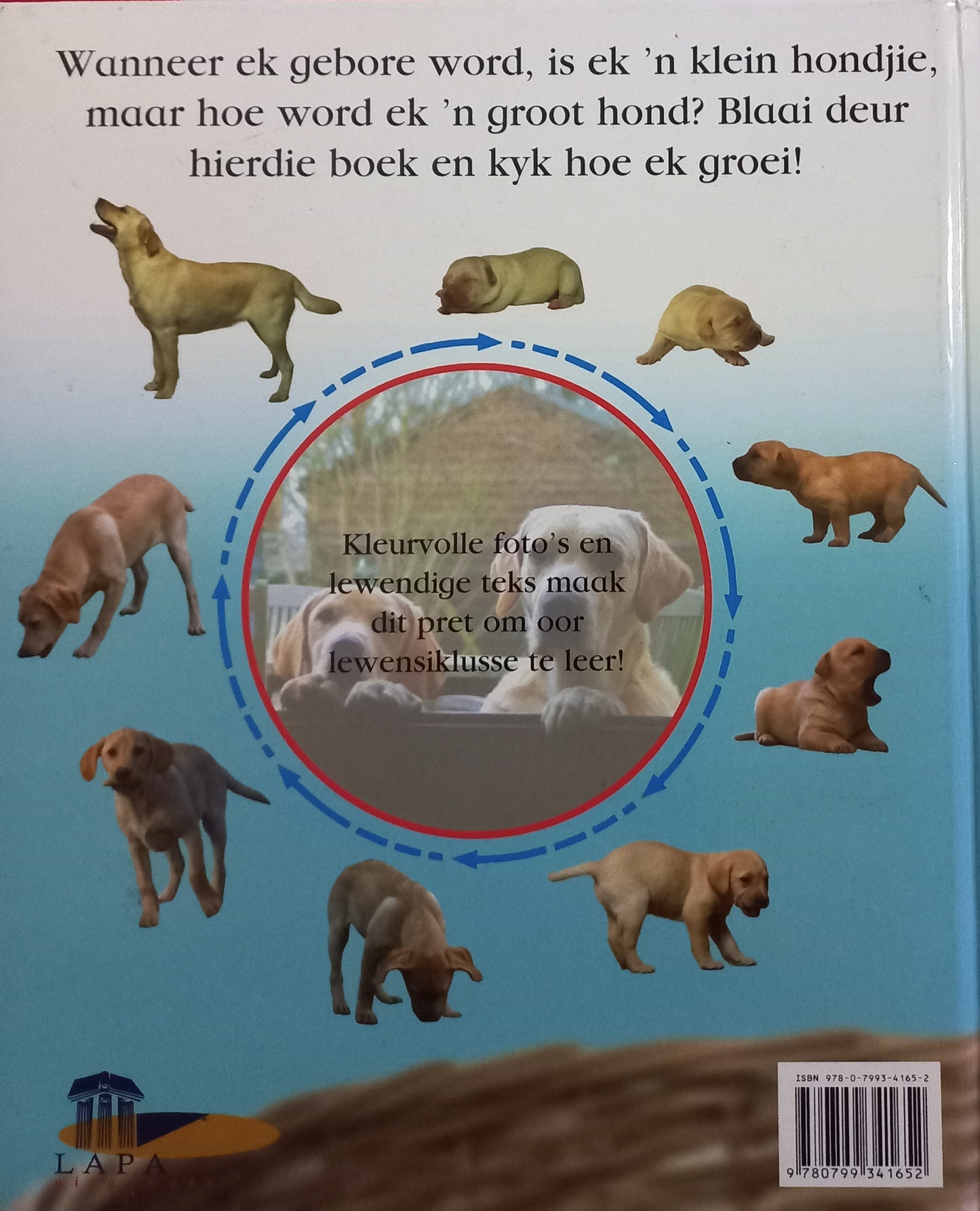 Kyk hoe ek groei: Hondjie