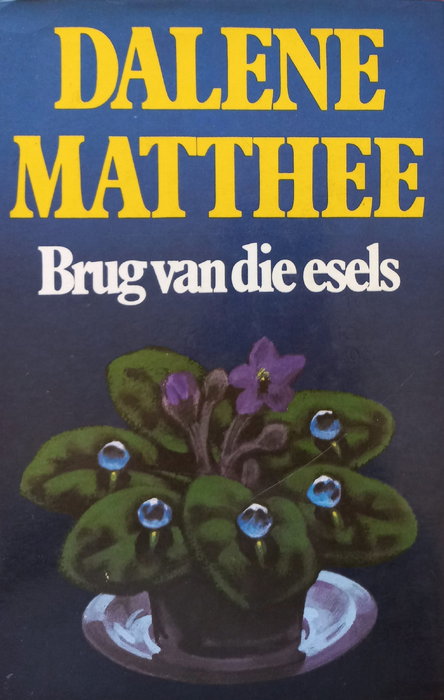 Brug van die esels - Dalene Matthee