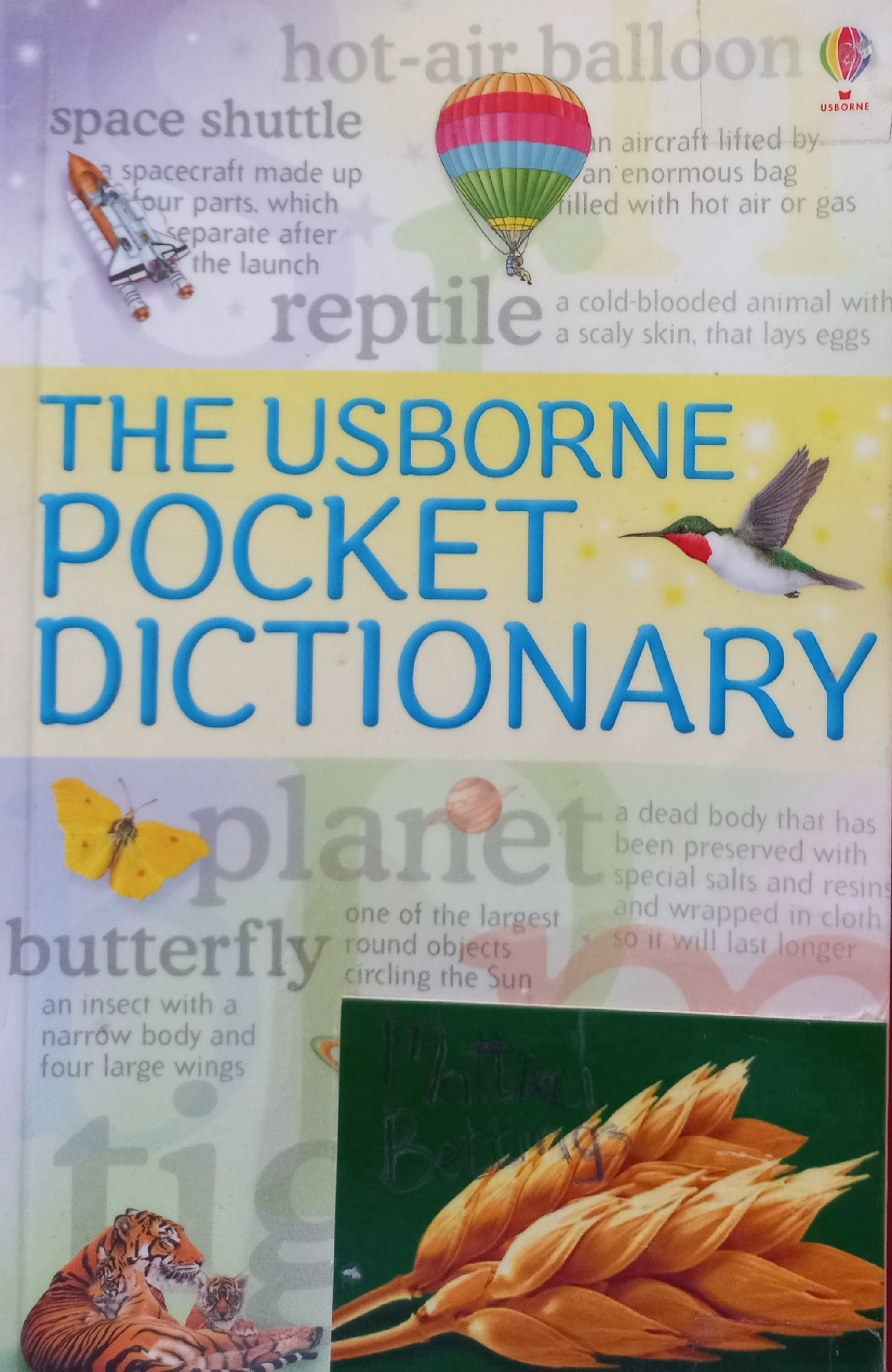 The Usborne Pocket Dictionary - Rachel Wardley