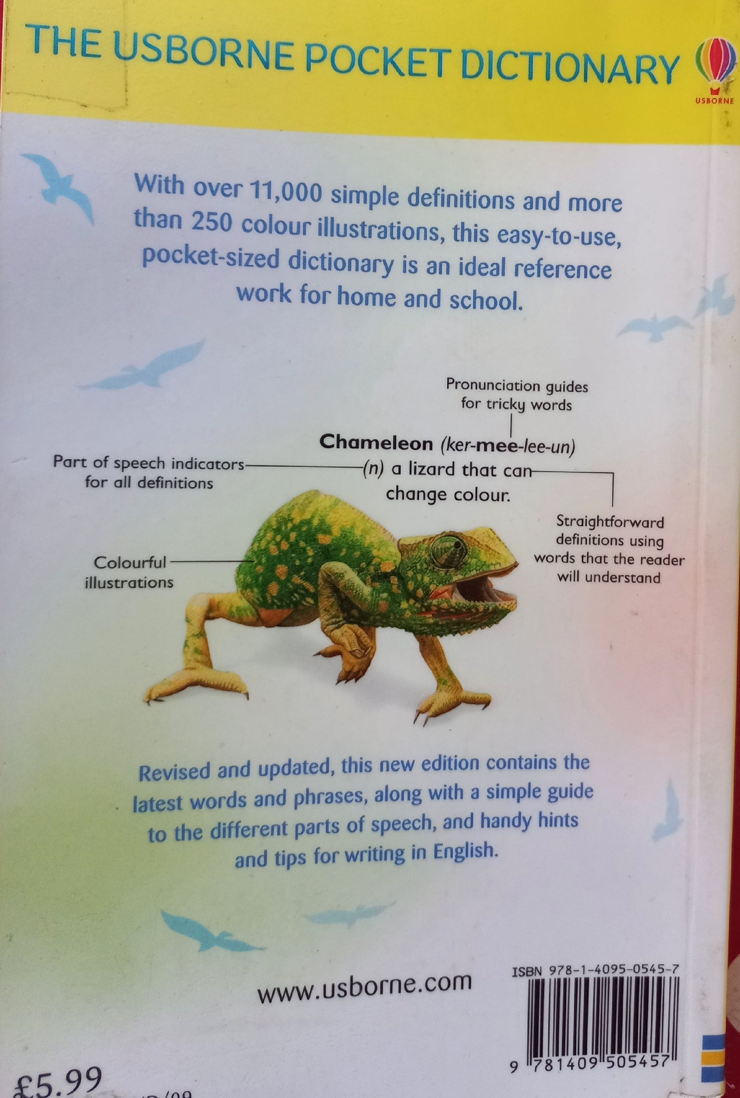 The Usborne Pocket Dictionary - Rachel Wardley