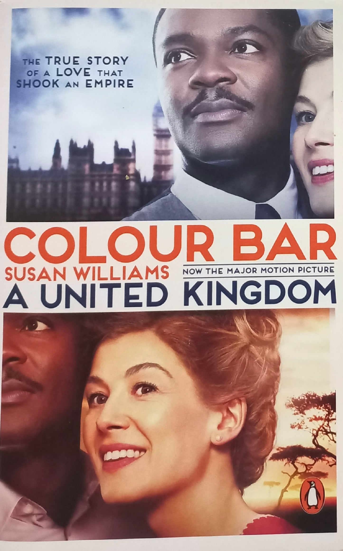 Colour bar - Susan Williams