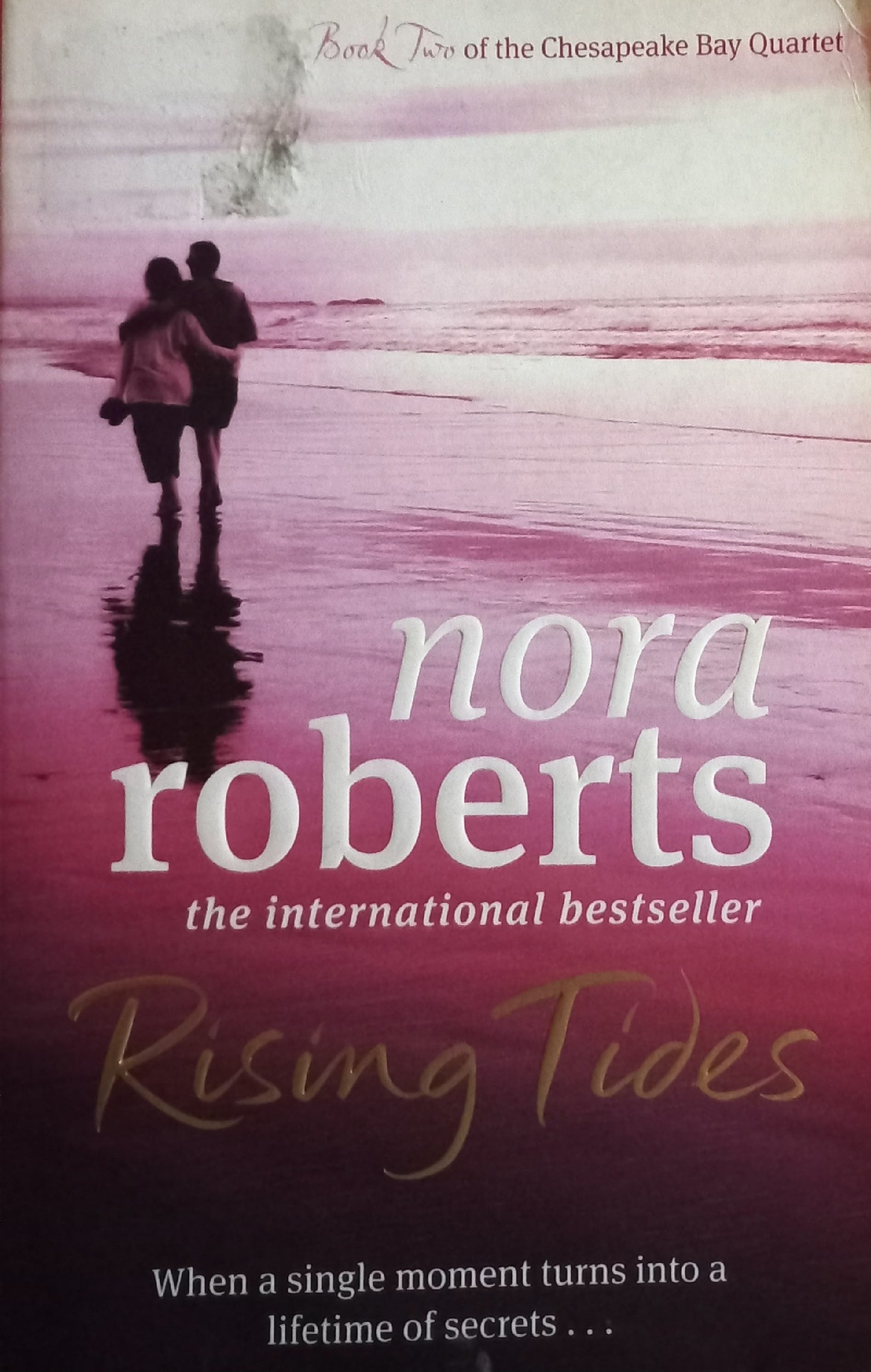 Rising tides - Nora Roberts (Chesapeake Bay saga #2)