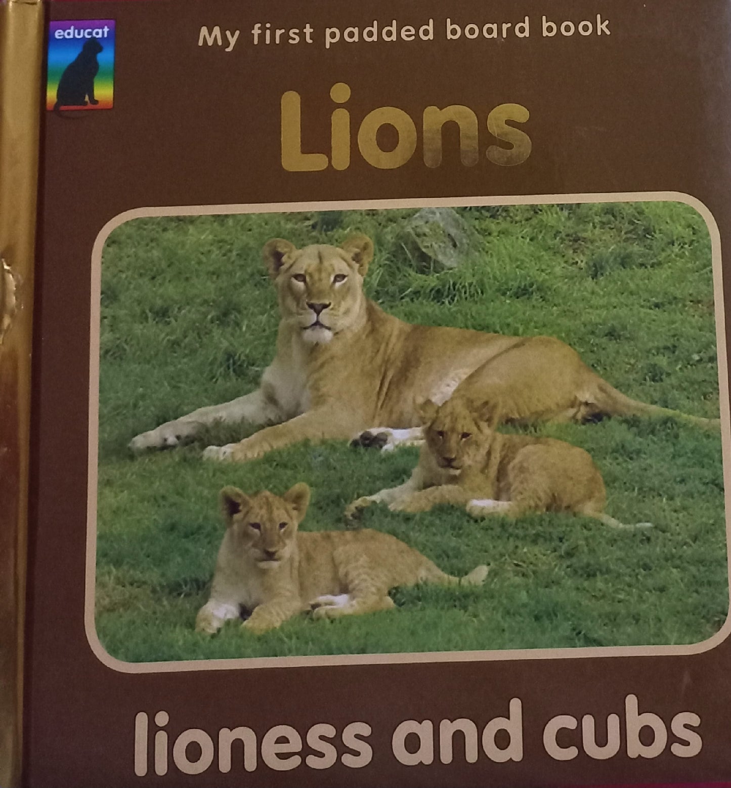 Lions: lioness and cubs