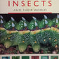 Southern African Insects and their world - Alan Weaving