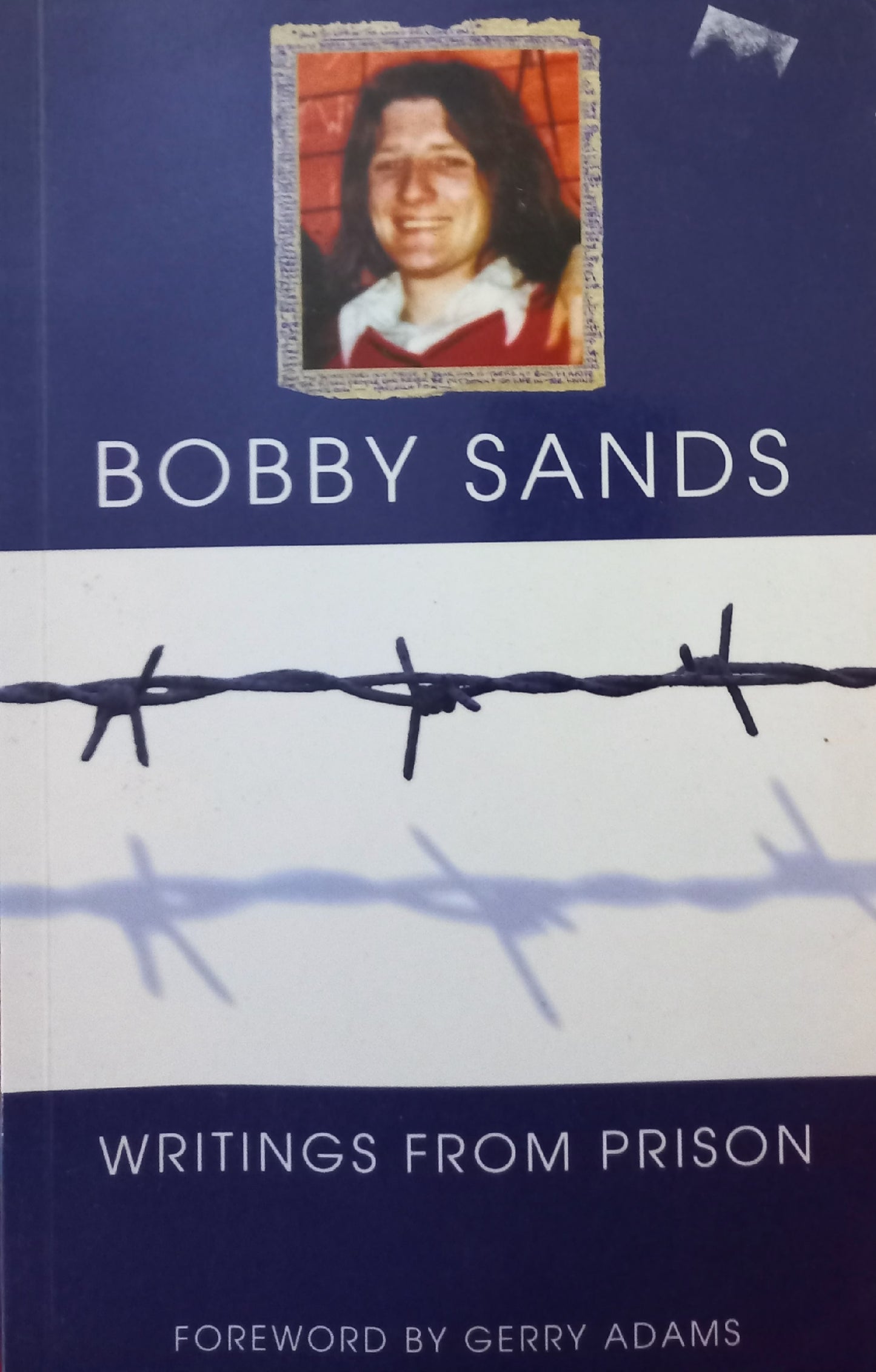 Writings from prison - Bobby Sands