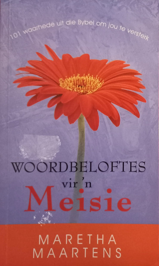 Woordbeloftes vir 'n meisie - Maretha Maartens