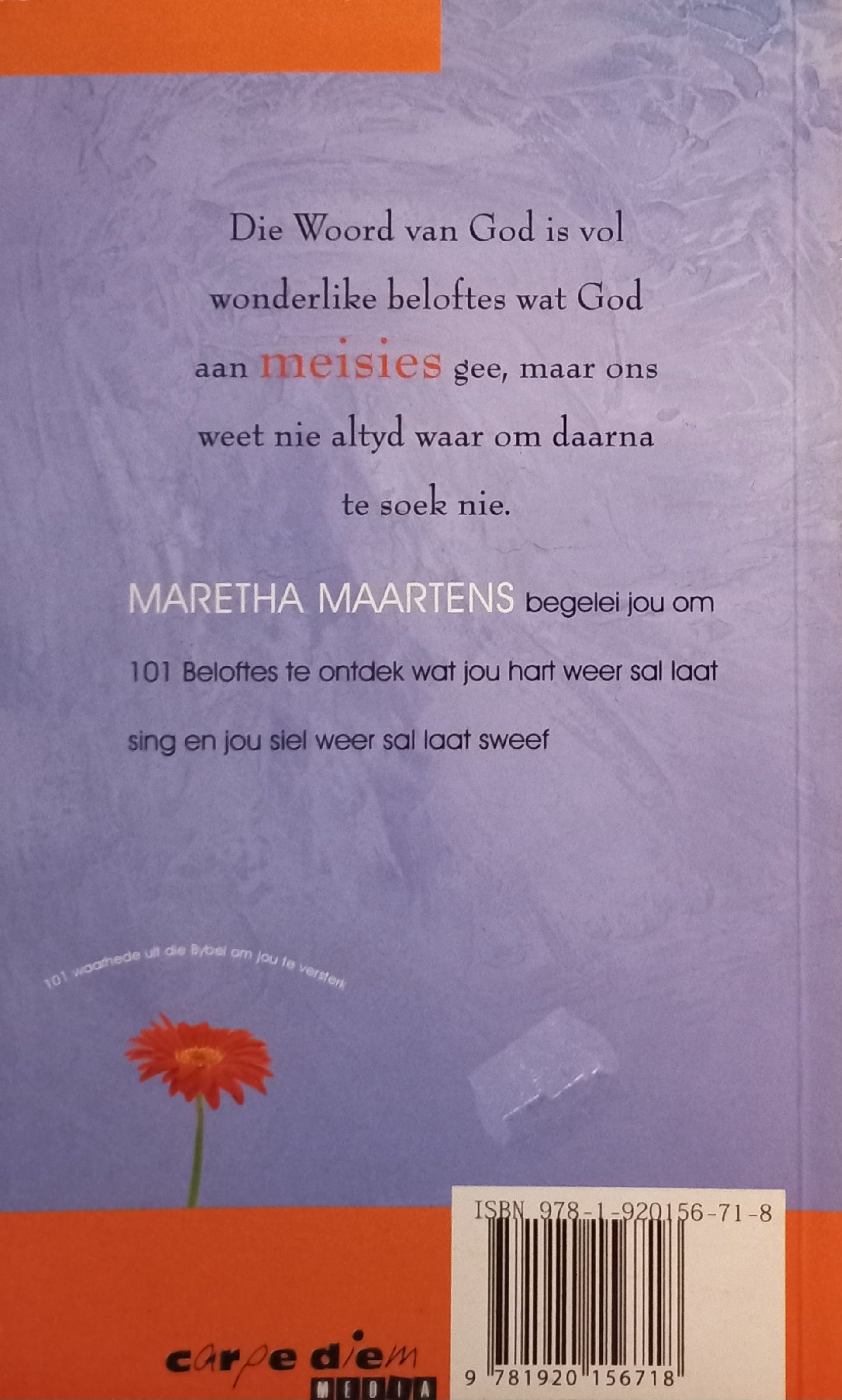 Woordbeloftes vir 'n meisie - Maretha Maartens