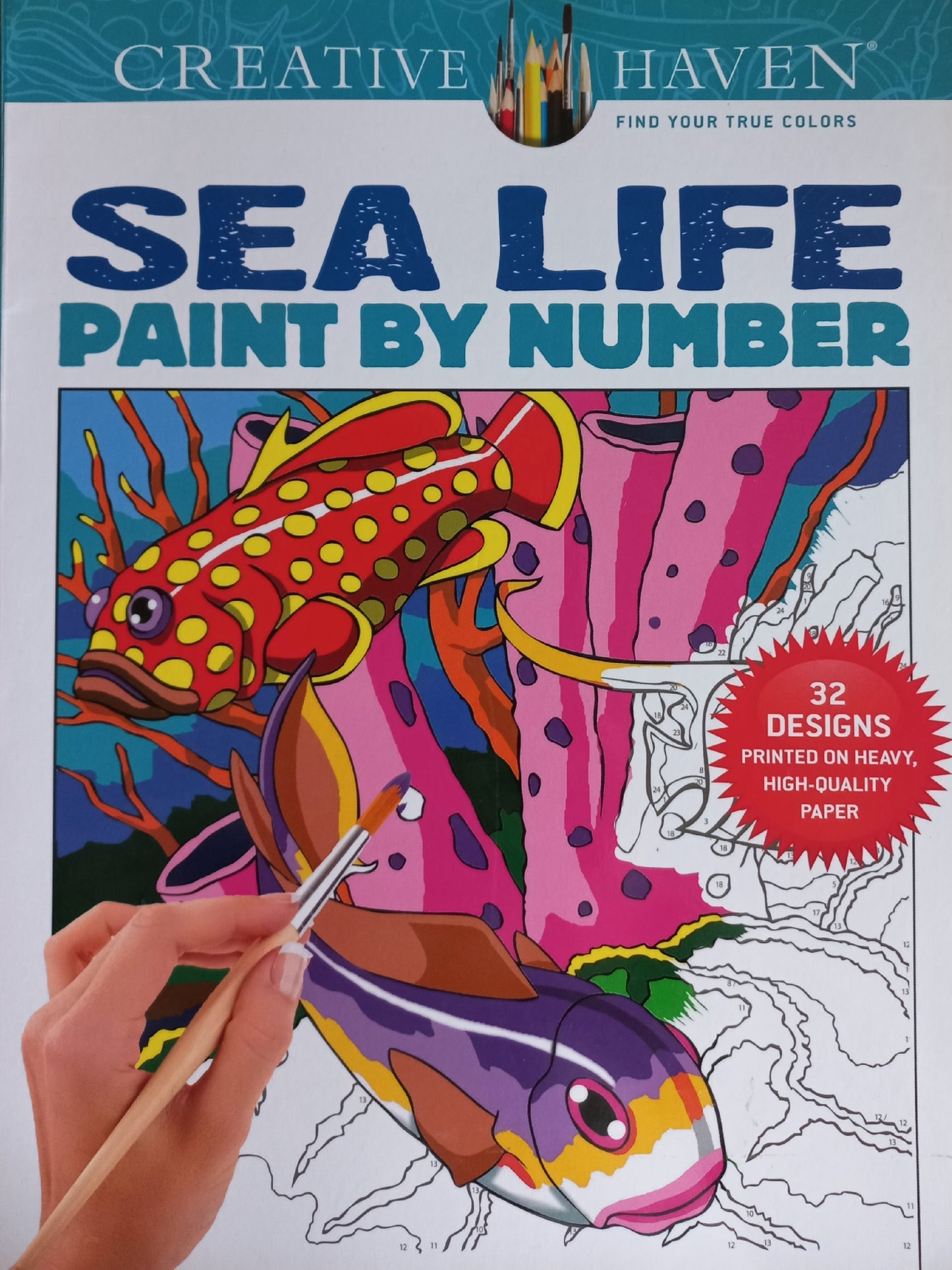 Sea life: Paint by number - Creative haven