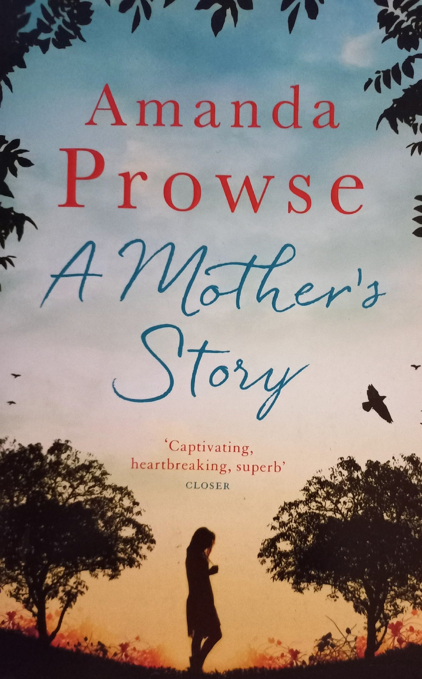 A Mother's Story - Amanda Prowse (No greater love #7)