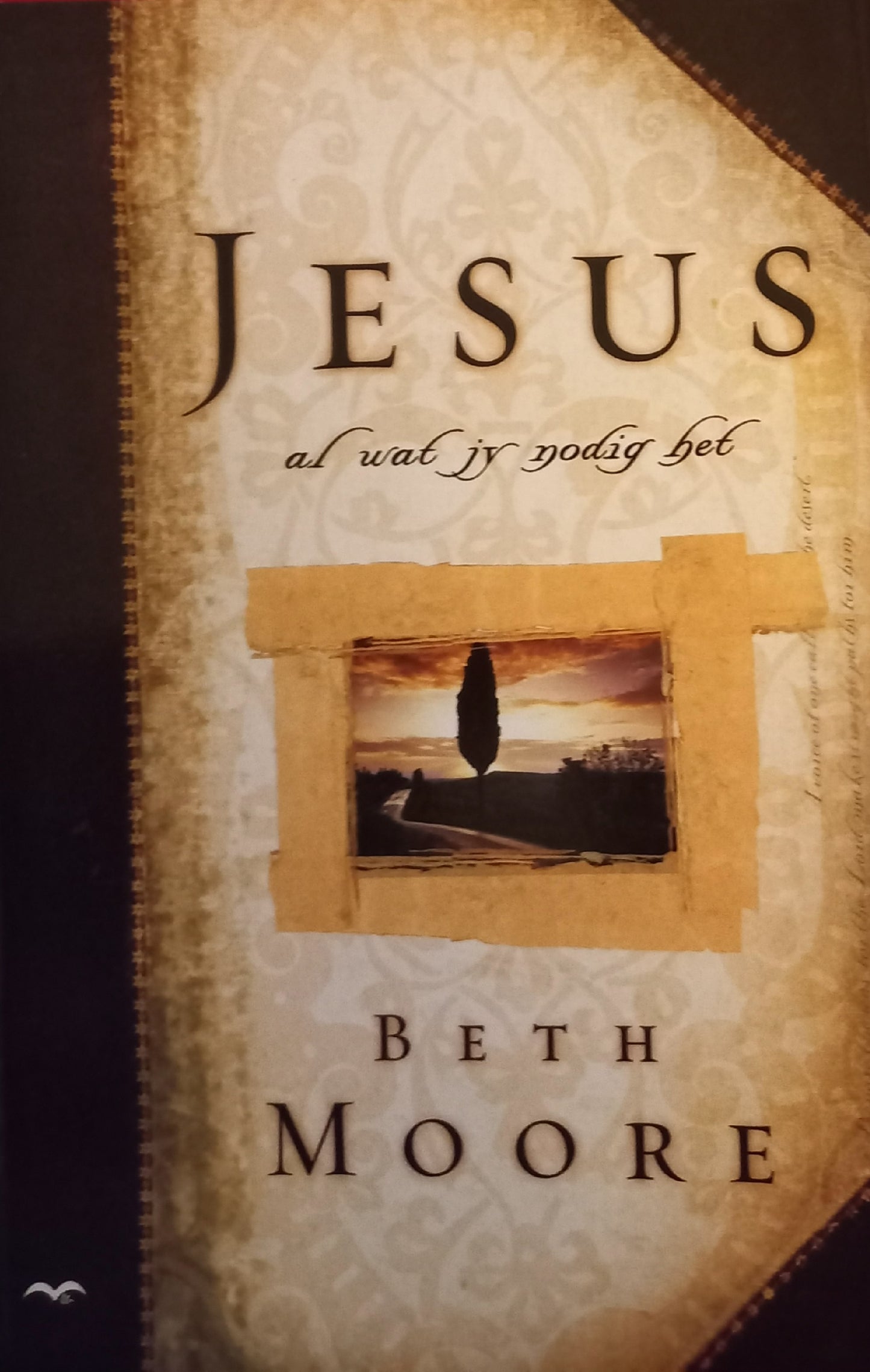 Jesus al wat jy nodig het - Beth Moore