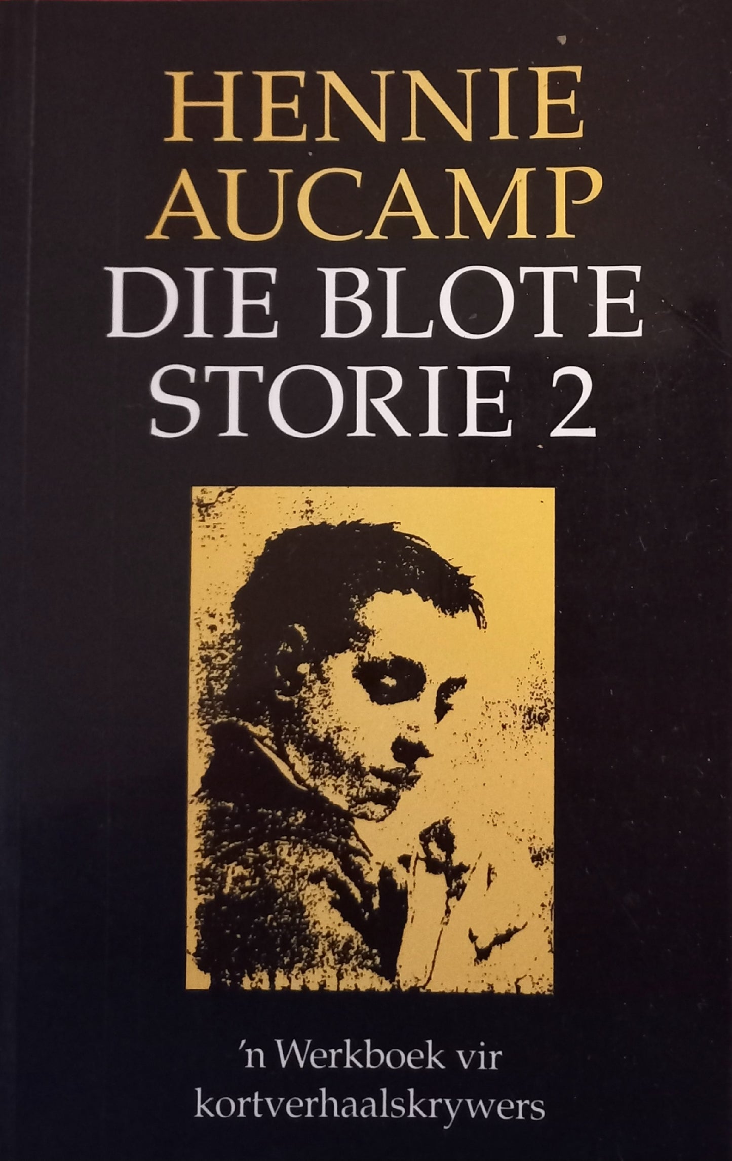 Die blote storie 2: 'n werkboek vir kortverhaalskrywers - Hennie Aucamp