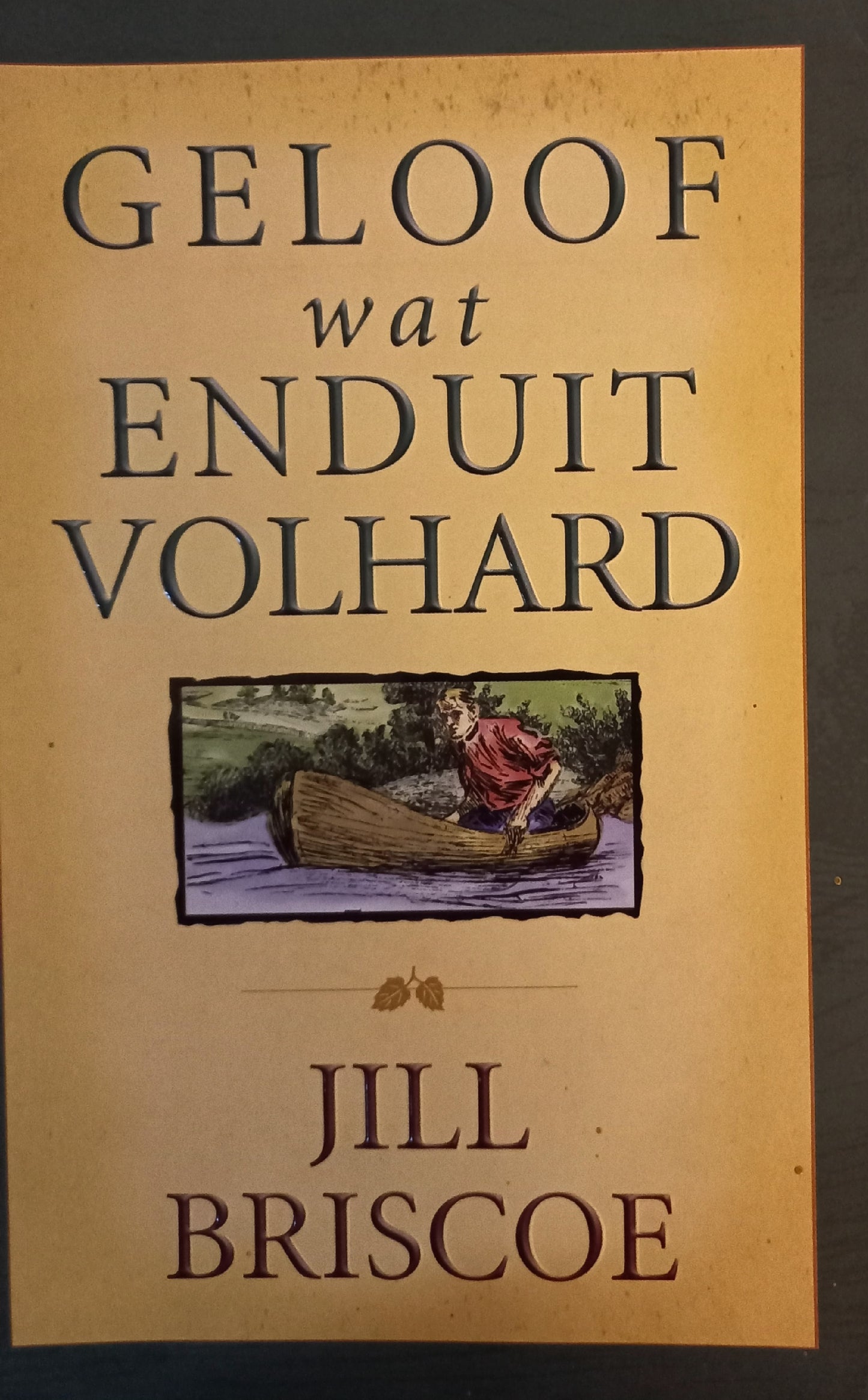 Geloof wat enduit volhard - Jill Briscoe