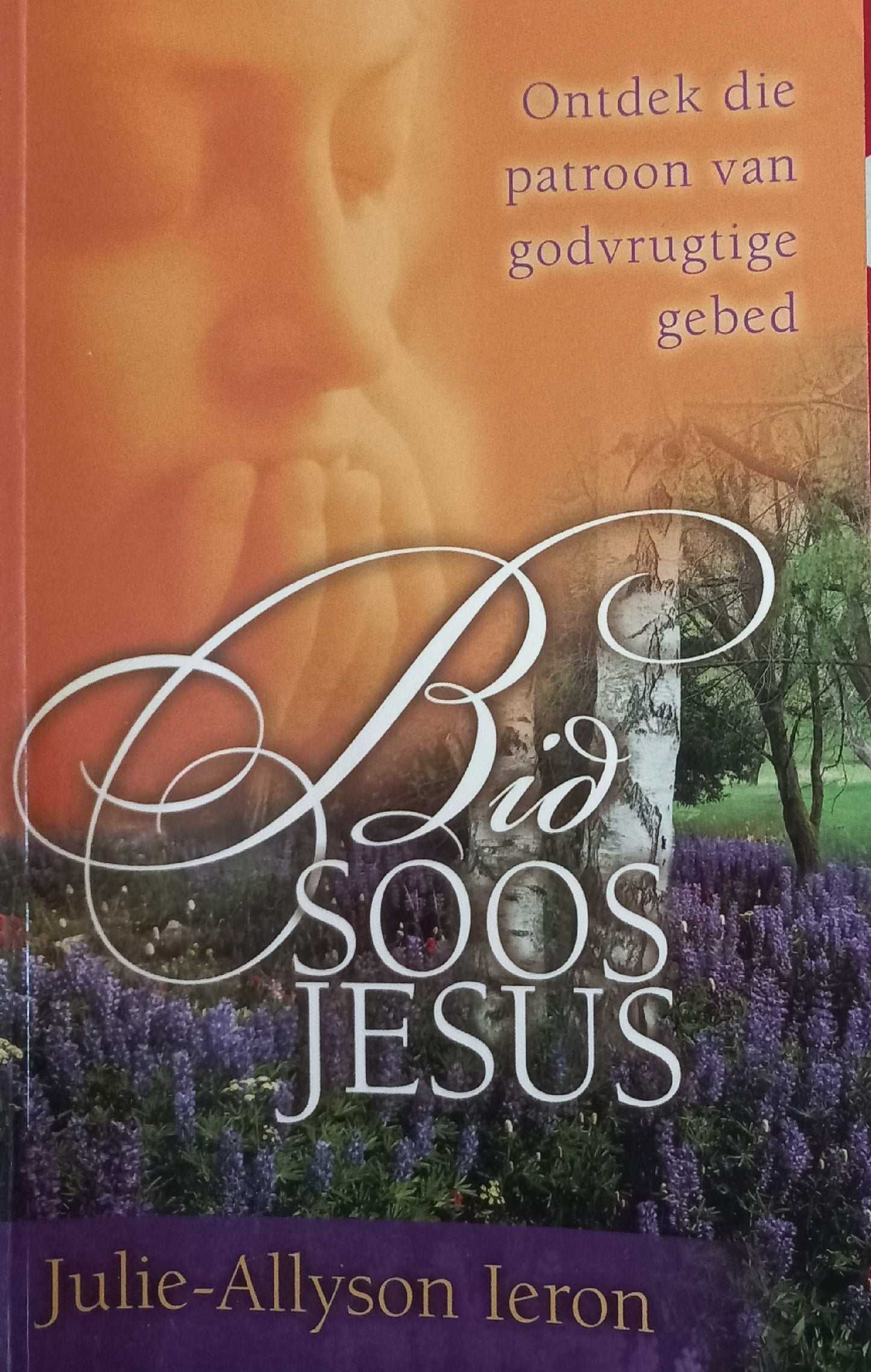 Bid soos Jesus - Julie-Allyson Ieron