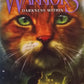 Darkness within - Erin Hunter (Warriors: The broken code #4)