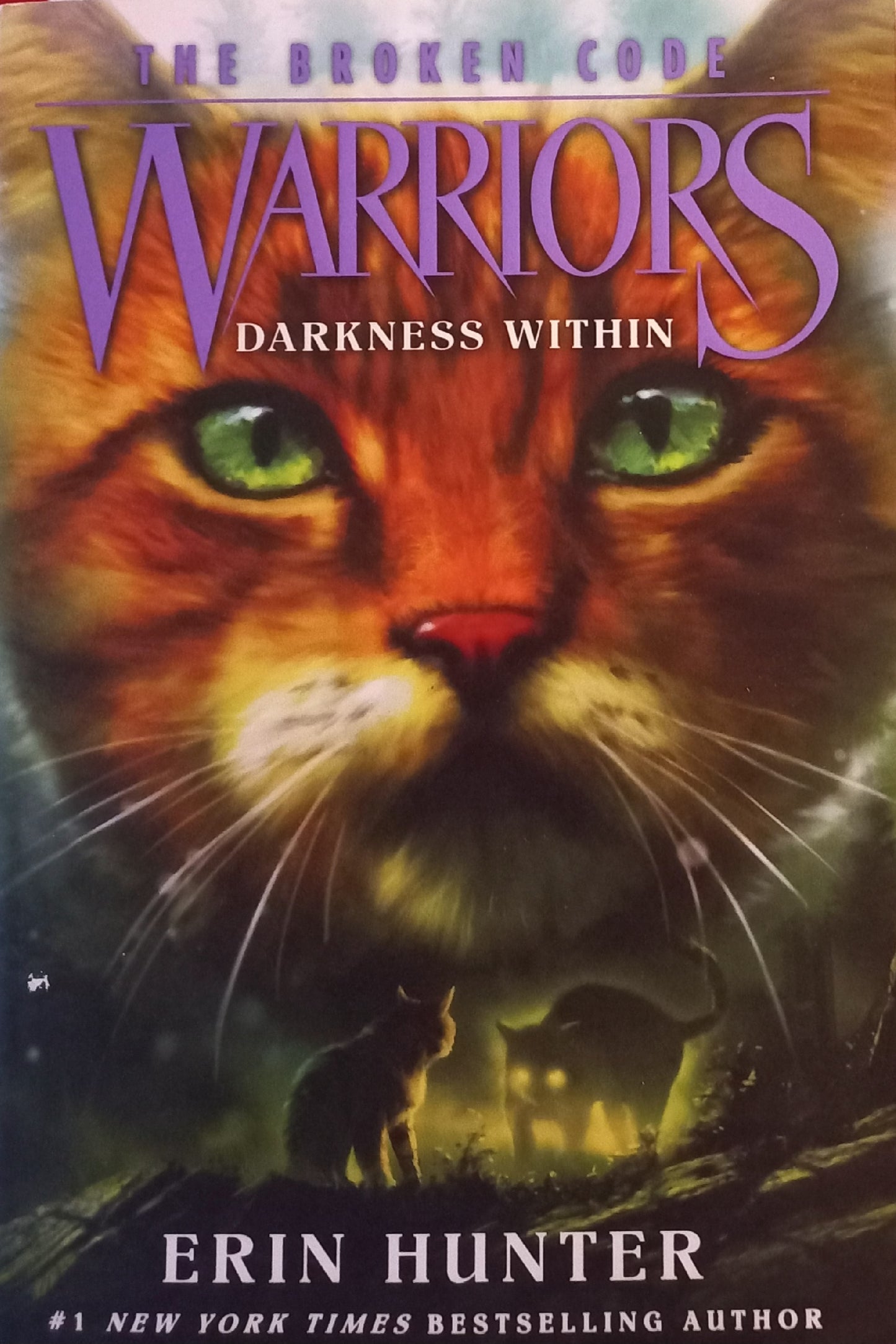 Darkness within - Erin Hunter (Warriors: The broken code #4)