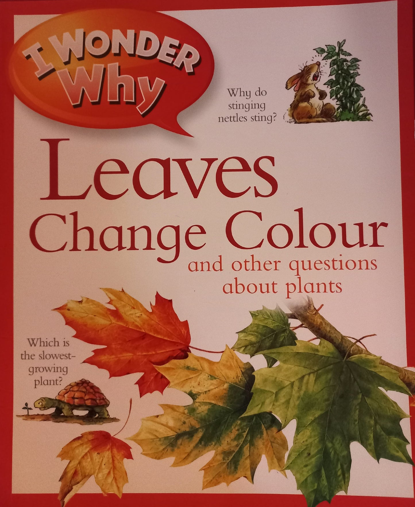 I wonder why leaves change colour