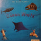 Ocean World - BBC