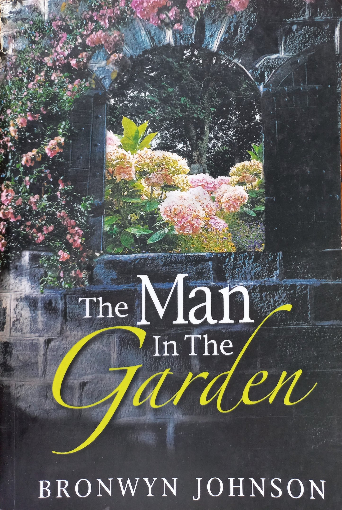 The Man in the Garden - Bronwyn Johnson