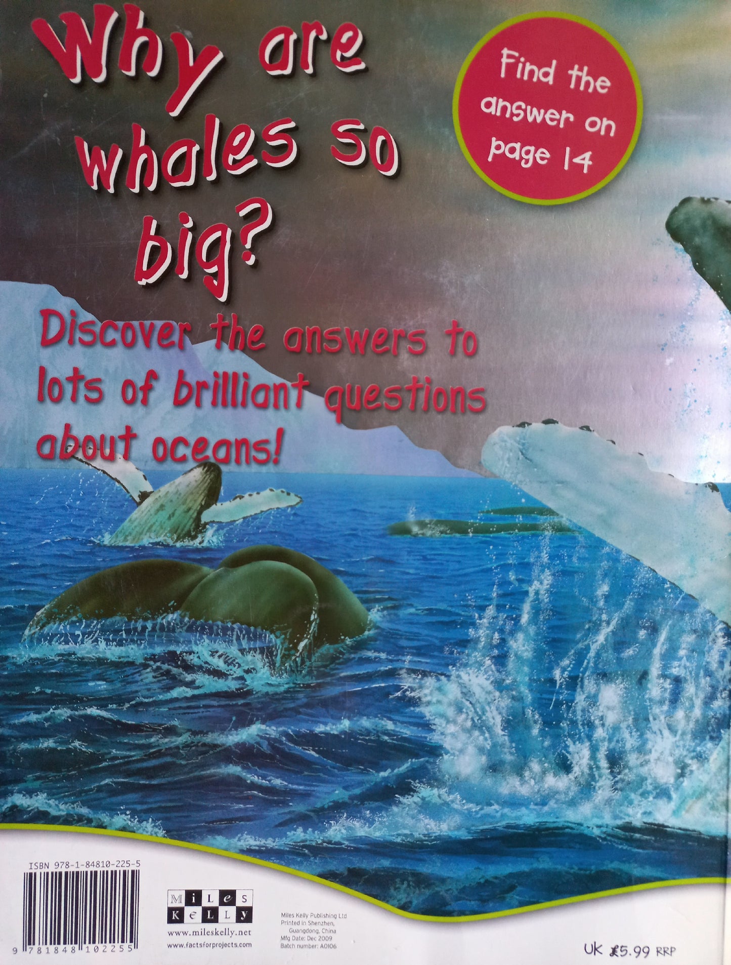 Why are whales so big?