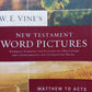 New testament Word pictures: Matthew - Acts - W.E. Vine with F.F. Bruce