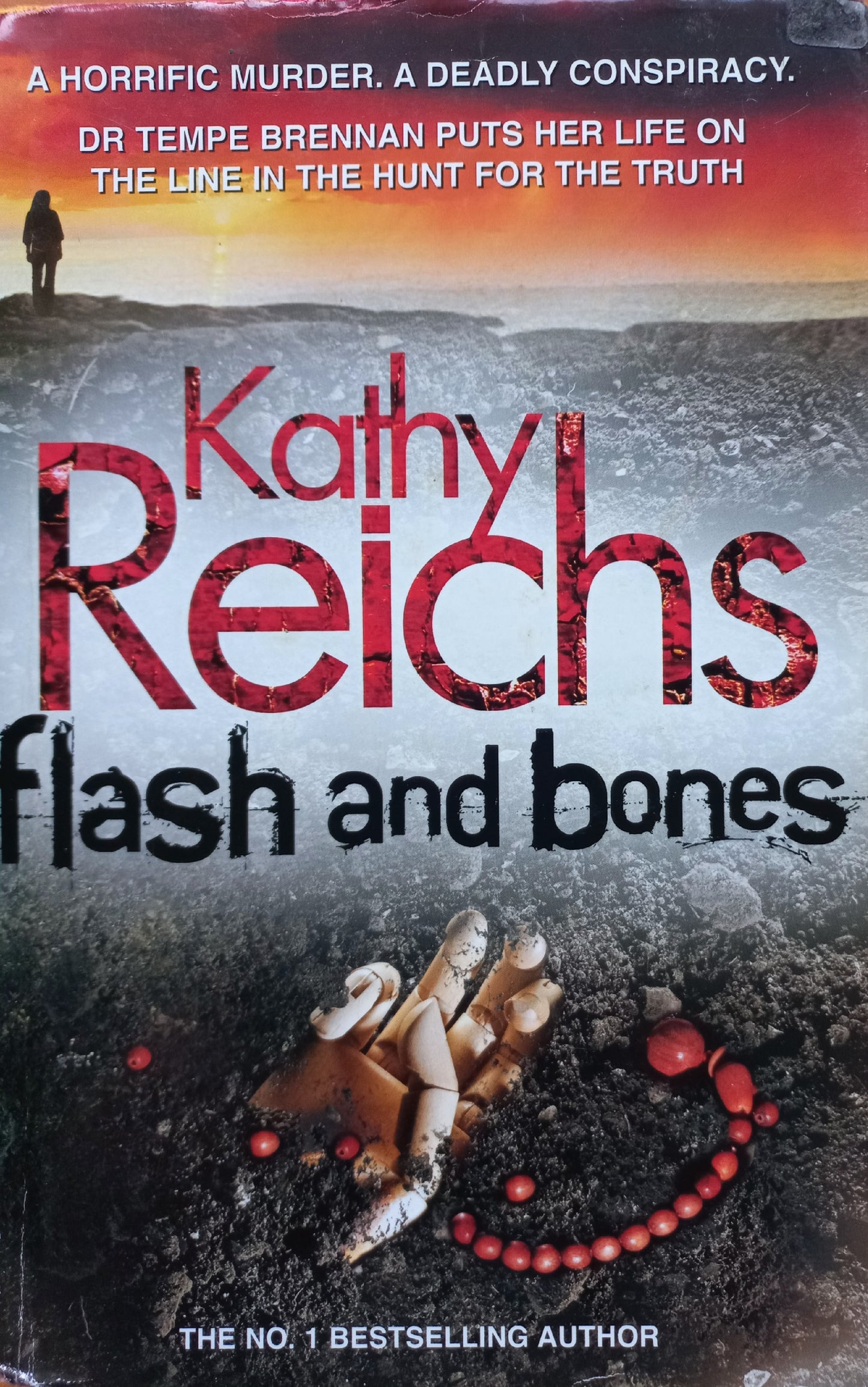 Flash and Bones - Kathy Reichs (Temperance Brennan #14)