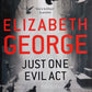 Just one evil act - Elizabeth George