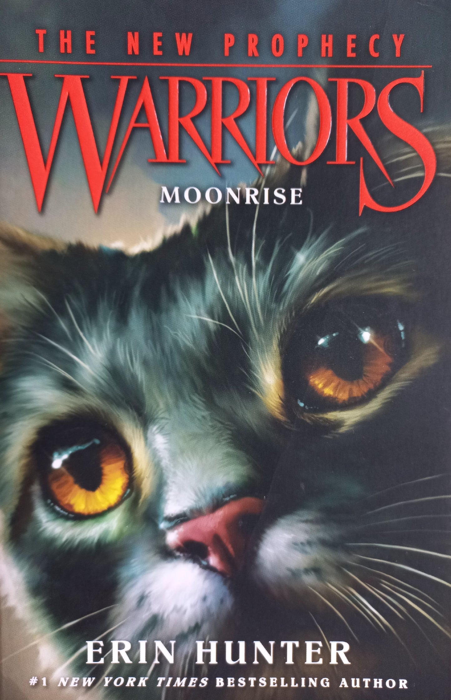 Moonrise - Erin Hunter (Warriors: The new prophecy #2)