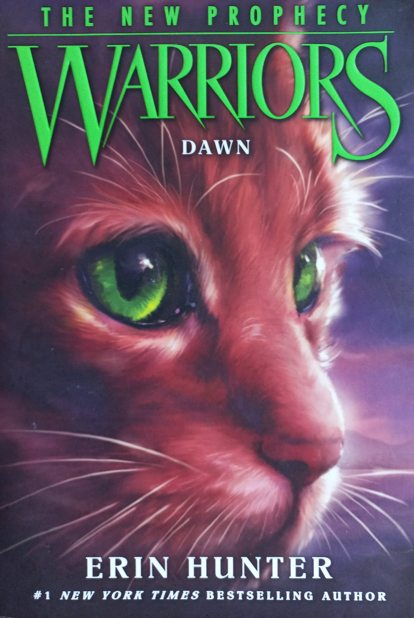 Dawn - Erin Hunter (Warriors: The new prophecy #3)