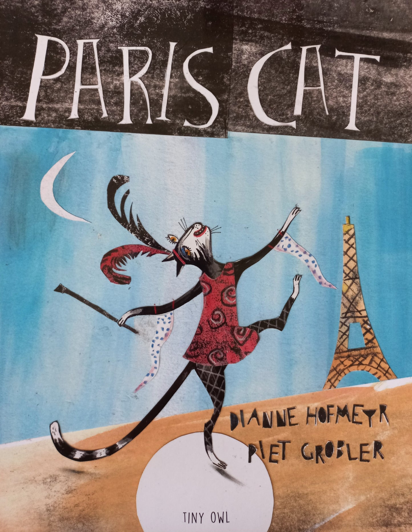 Paris Cat  - Dianne Hofmeyr