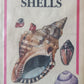 Shells - Deirdre Richards