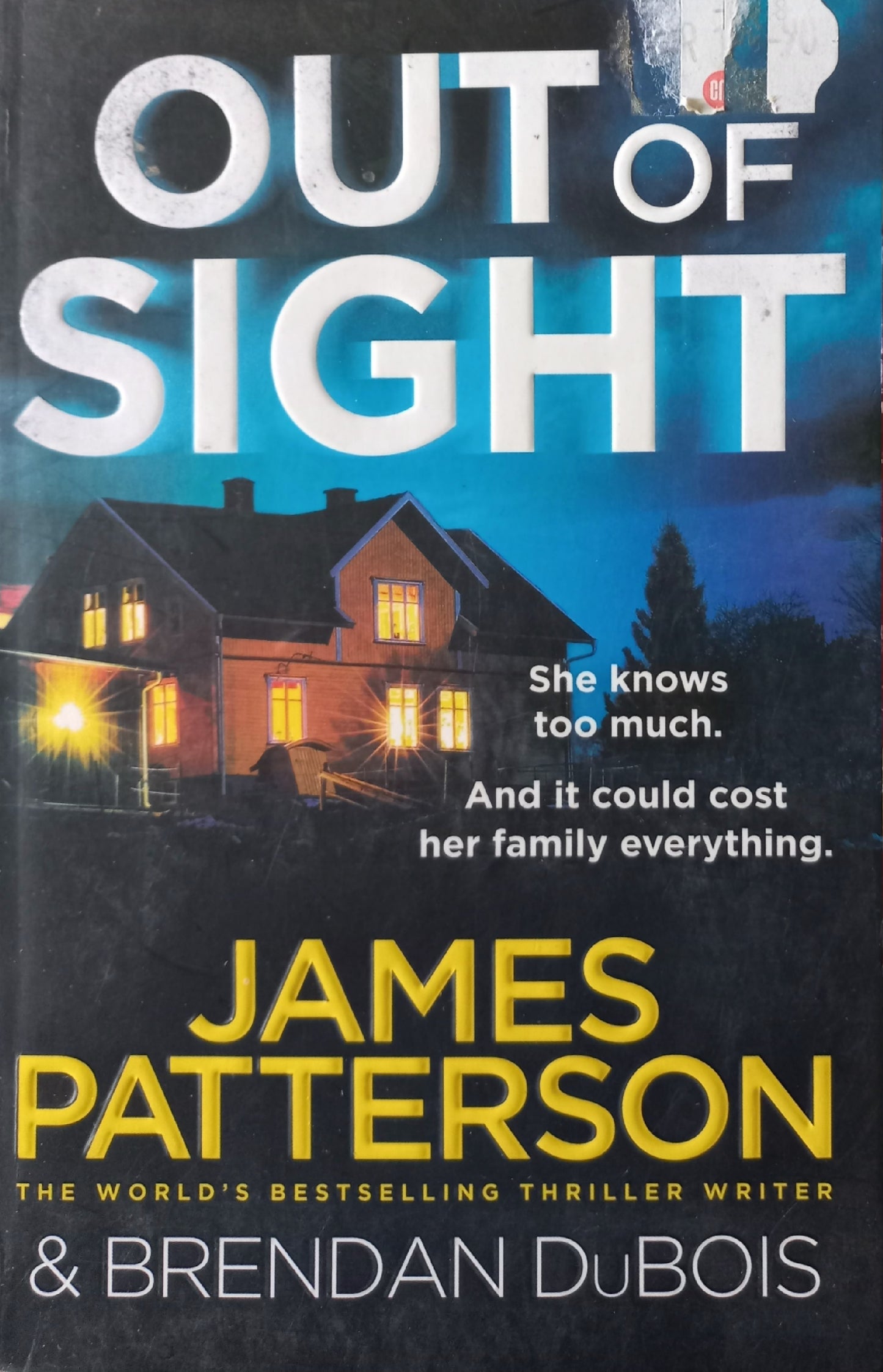 Out of sight - James Patterson & Brendan DuBois (Amy Cornwall #1)