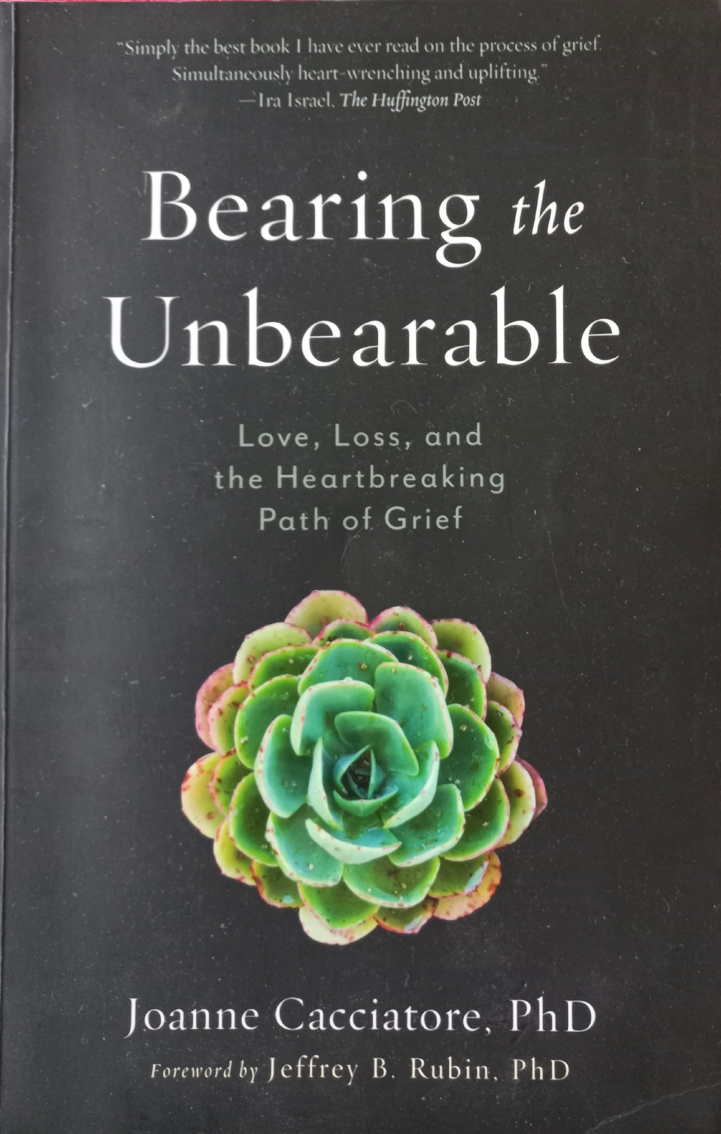 Bearing the unbearable: love, loss and the heartbreaking path of grief  - Joanne Cacciatore