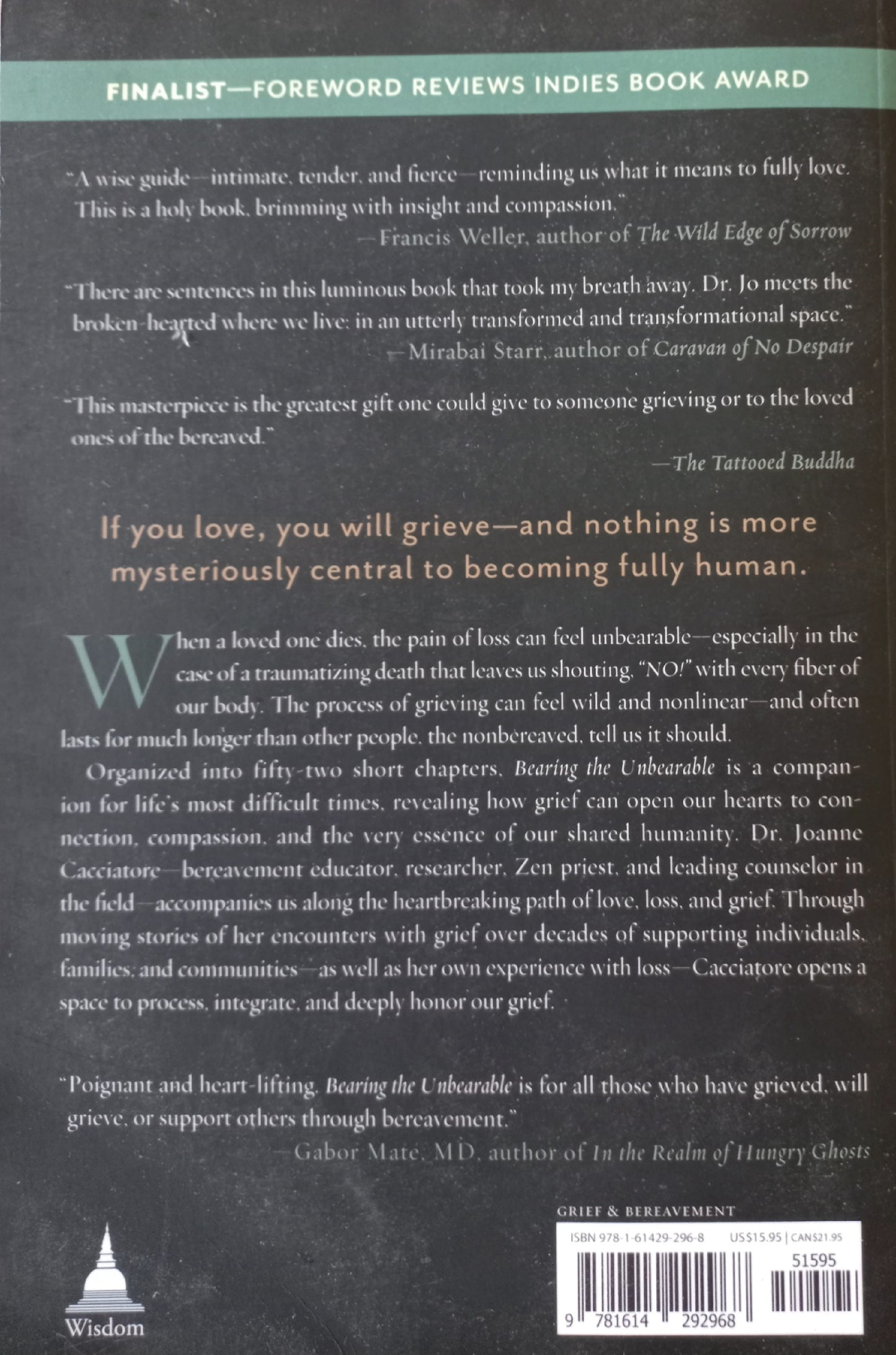 Bearing the unbearable: love, loss and the heartbreaking path of grief  - Joanne Cacciatore