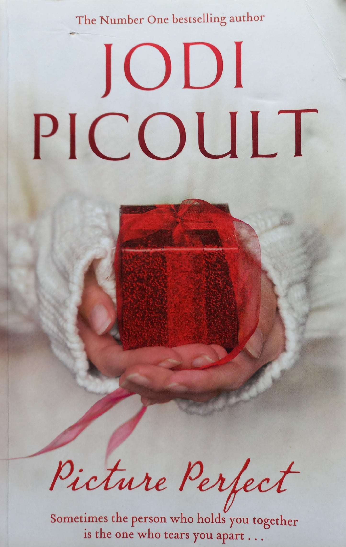 Picture Perfect  - Jodi Picoult