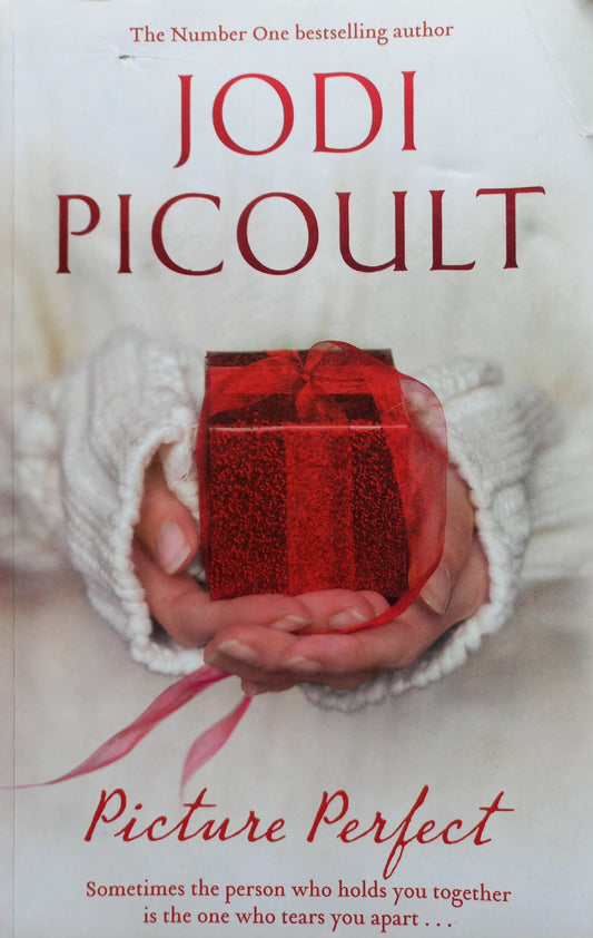 Picture Perfect  - Jodi Picoult