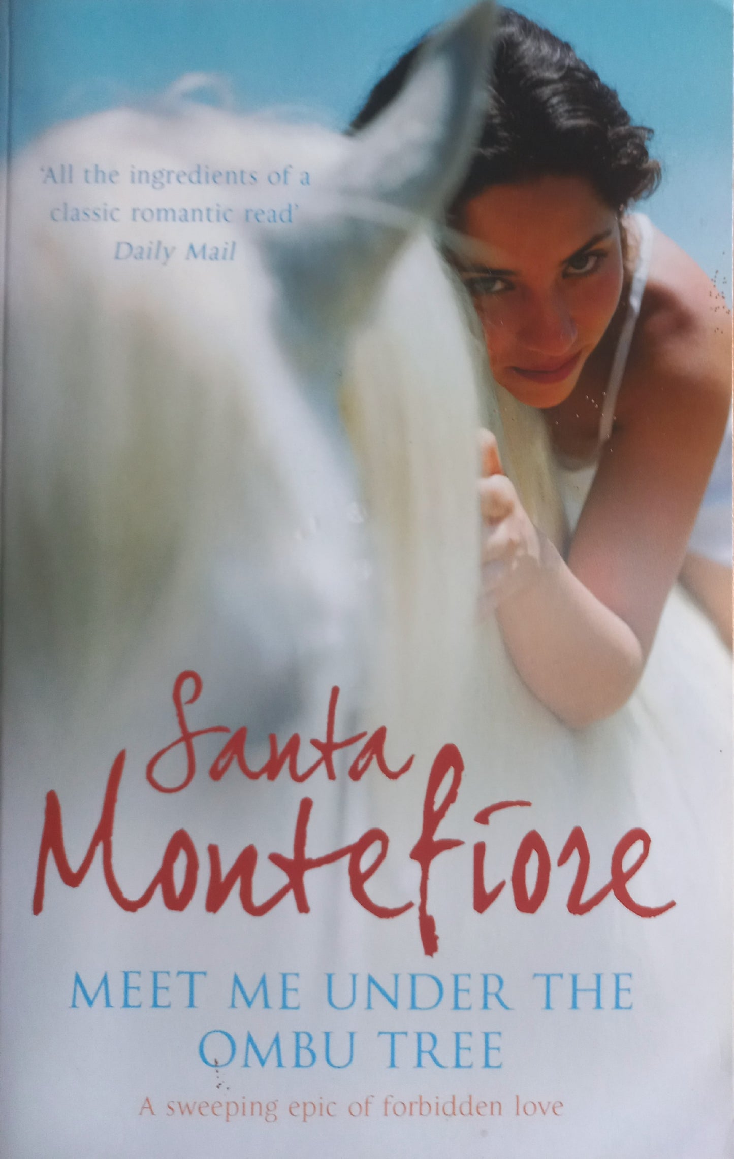 Meet me under the Ombu tree - Santa Montefiore