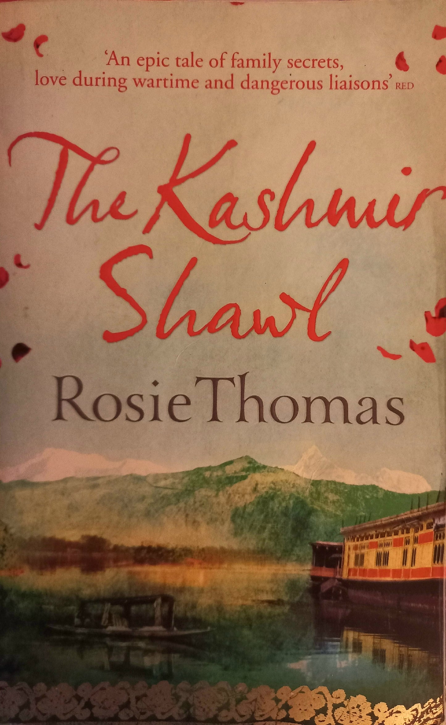 The Kashmir Shawl - Rosie Thomas