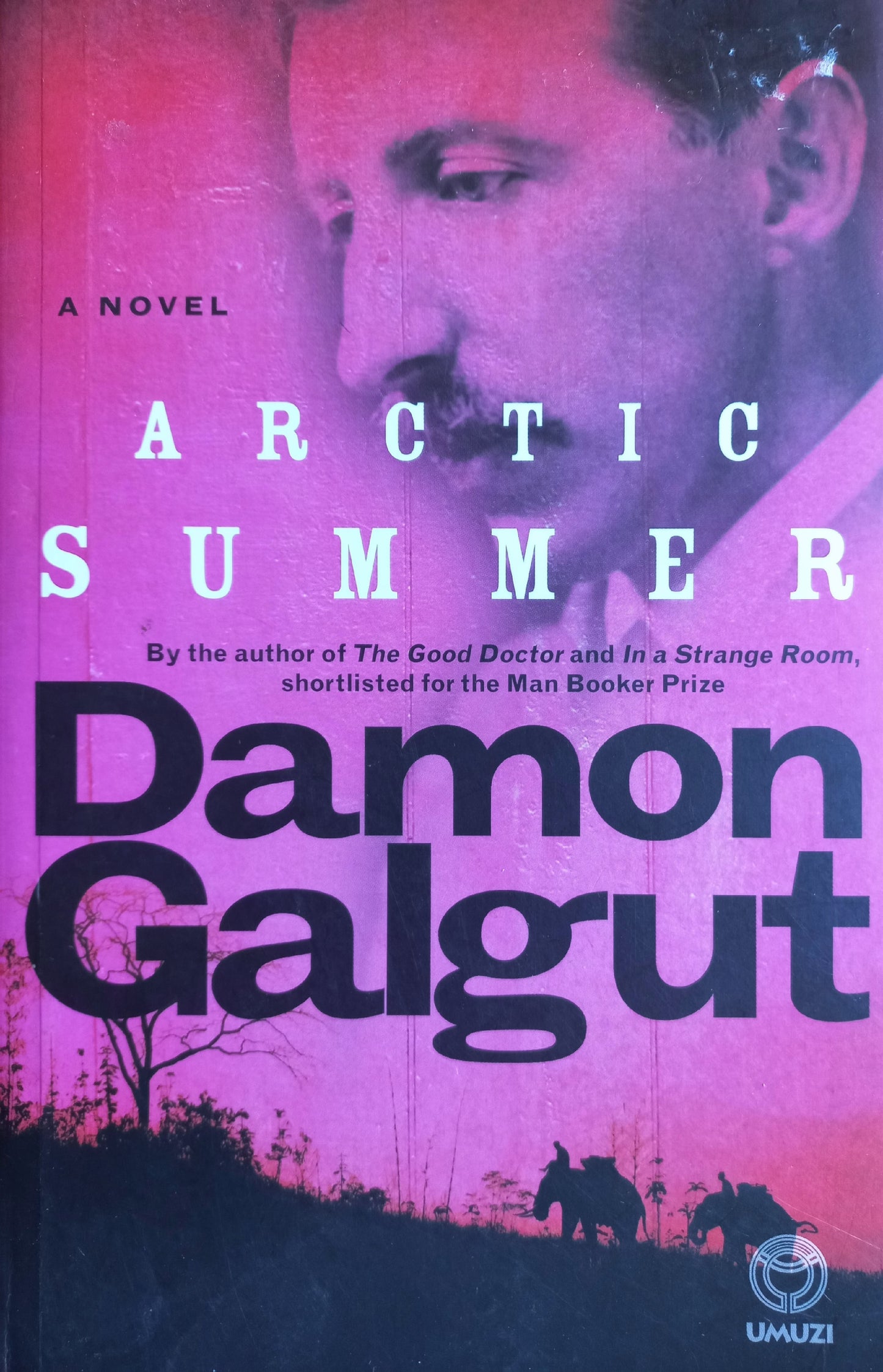 Arctic Summer - Damon Galgut