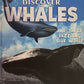 Discover Whales