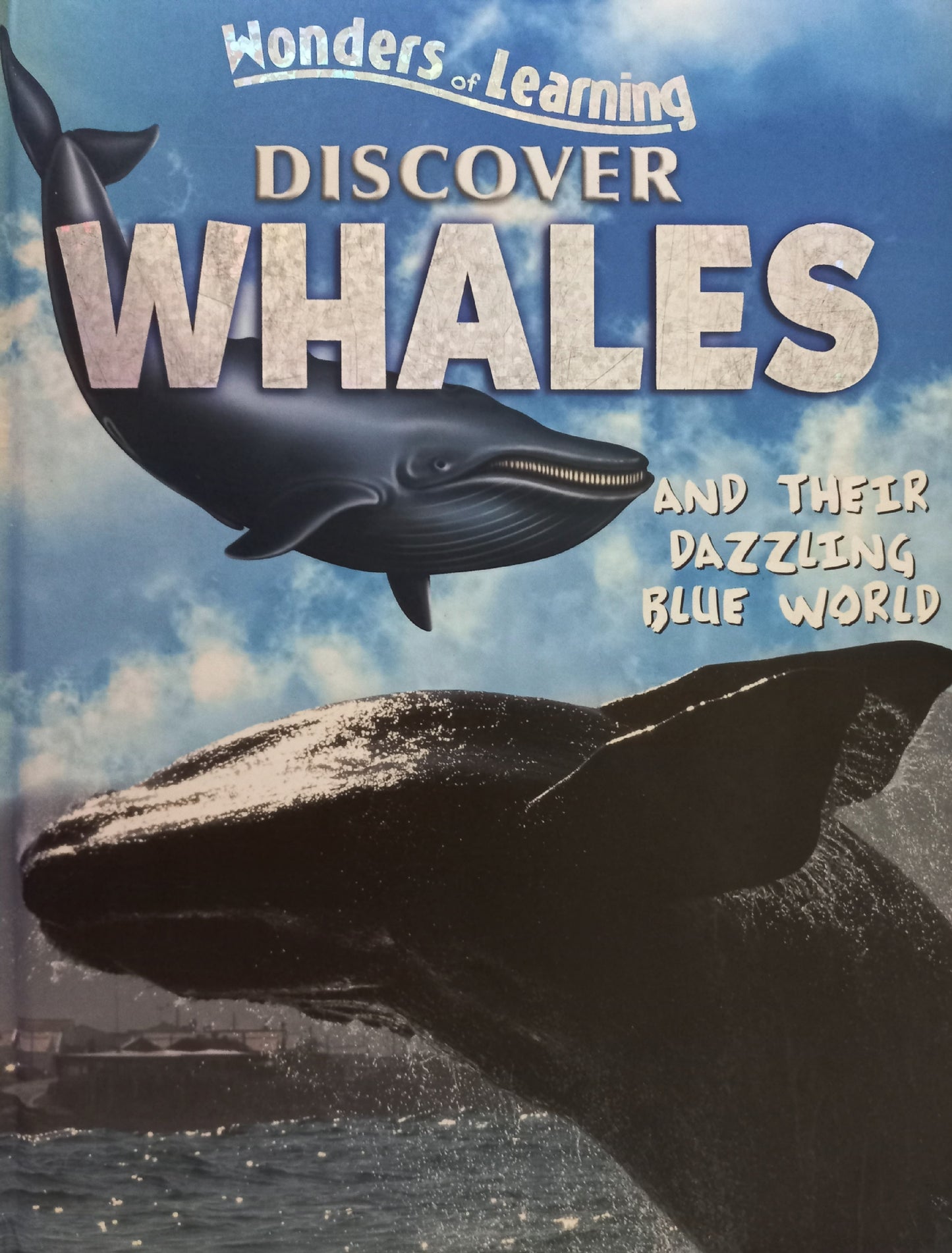 Discover Whales