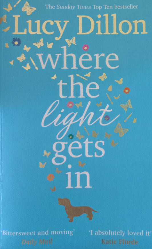 Where the light gets in - Lucy Dillon