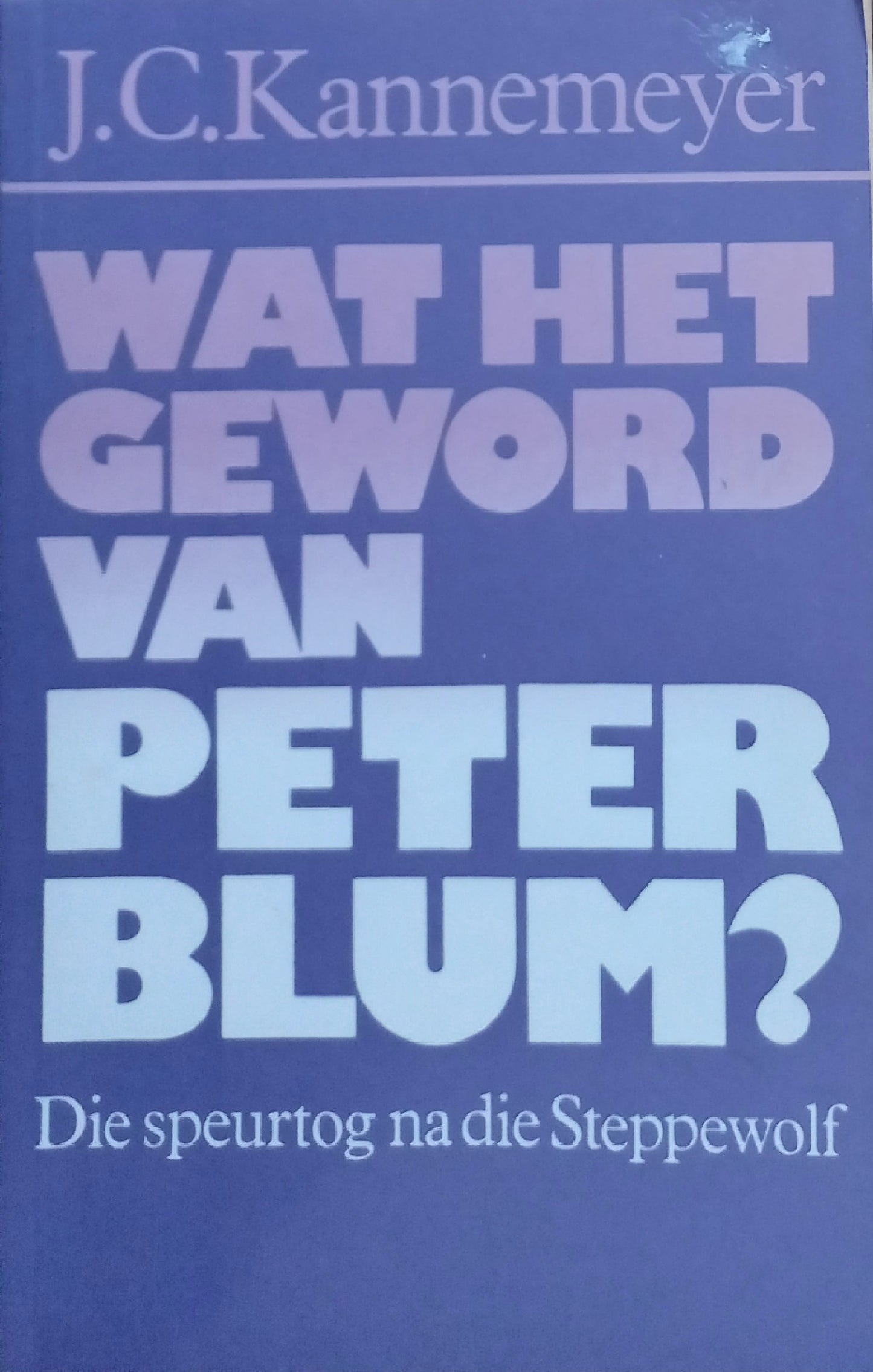 Wat het geword van Peter Blum?: Die speurtog na die steppewolf - J.C. Kannemeyer